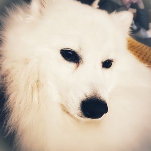 Meet your Posher, Carolyne